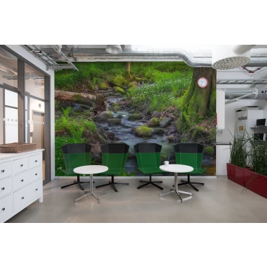 Stream metsavirta valokuvatapetti odotushuoneeseen Rebel Wallsilta R16381 image