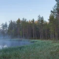Forest Lake sumuinen metsajarvi valokuvatapetti Rebel Wallsilta koko kuvio R16421