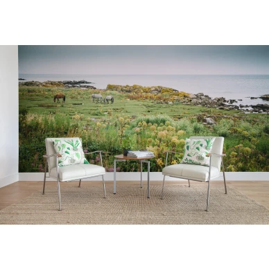 Bareback hevostapetti valokuvatapetti olohuoneeseen Rebel Wallsilta R16471 image