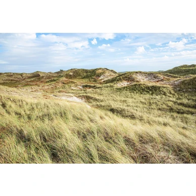 The Wind avoin maisema valokuvatapetti koko kuvio Rebel Wallsilta R16511 image