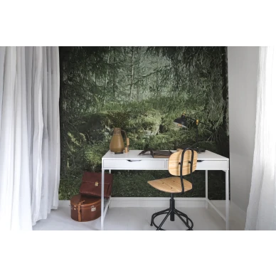 Virgin Forest vihrea metsatapetti valokuvatapetti tyohuoneeseen Rebel Wallsilta R16531 image