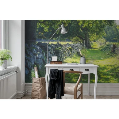 Early Summer vihrea maaseutumaisema valokuvatapetti tyohuoneeseen Rebel Wallsilta R16651 image