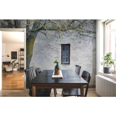 Under The Tree sisapihatapetti valokuvatapetti keittioon Rebel Wallsilta koko kuvio R13631 image