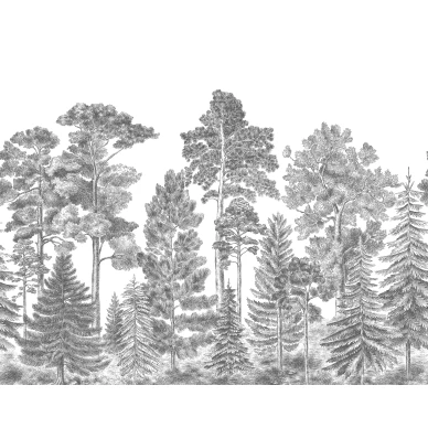 Scandinavian Bellewood harmaa metsatapetti koko kuvio Rebel Wallsilta R17201 image