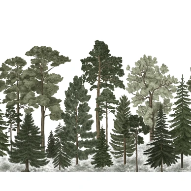 Scandinavian Bellewood vihrea metsatapetti levea kuvio Rebel Wallsilta R17204 image