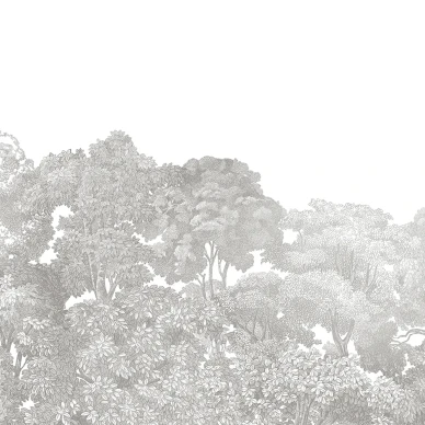 Bellewood harmaa metsatapetti Rebel Wallsilta R13054 image