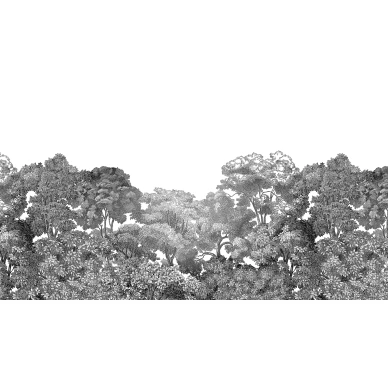 Bellewood mustavalkoinen metsatapetti levea kuvio Rebel Wallsilta R13053 image