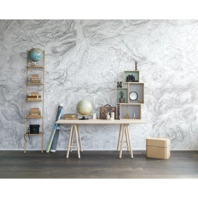 Elevation Lines valkoinen harmaa graafinen muraltapetti askarteluhuoneeseen Rebel Wallsilta R14071 image