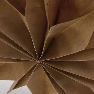 Star Capella ruskea joulutahti House Doctorilta 206120800 image