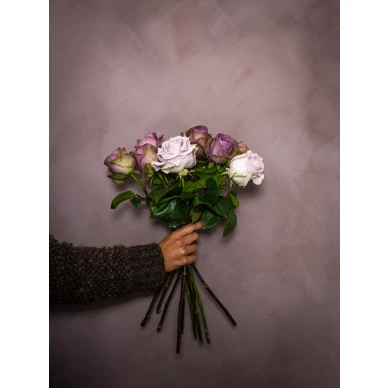 Kalkkimaali seinalle Kalklitirin liila savy Vivienne image