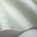Vihrea yksivarinen tapetti Watered Silk Cole et Sonilta 106 1013