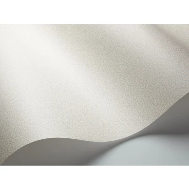 Beige yksivarinen tapetti Pebble Cole et Sonilta 106 2021 image