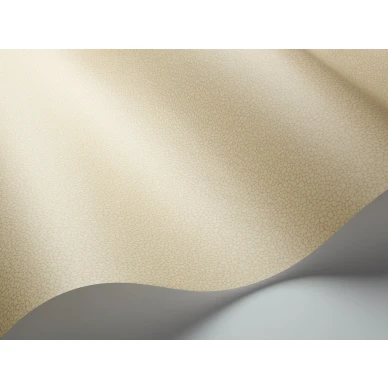 Keltainen yksivarinen tapetti Pebble Cole et Sonilta 106 2024 image