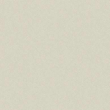 Pebble beige yksivarinen tapetti Cole et Sonilta 106 2021 image