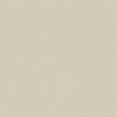 Pebble yksivarinen beige tapetti Cole et Sonilta 106 2022 image