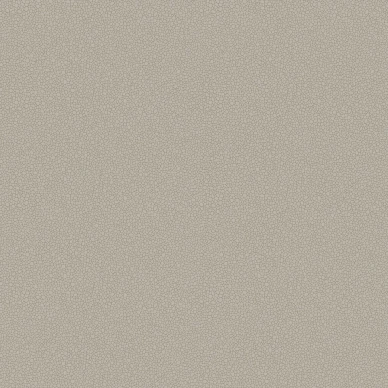 Pebble yksivarinen simpukanvarinen tapetti Cole et Sonilta 106 2016 image