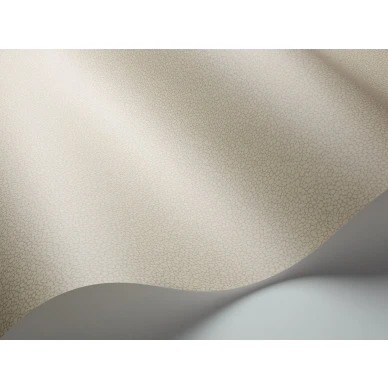 Vihrea yksivarinen tapetti Pebble Cole et Sonilta 106 2019 image