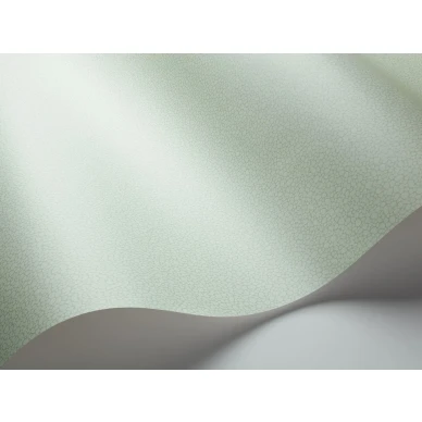 Yksivarinen tapetti vihrea Pebble Cole et Sonilta 106 2028 image