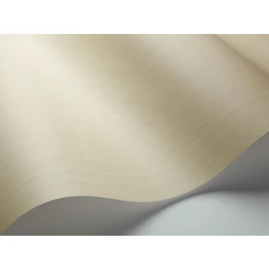 Beige tapetti Jaspe Cole et Sonilta 106 3042 image
