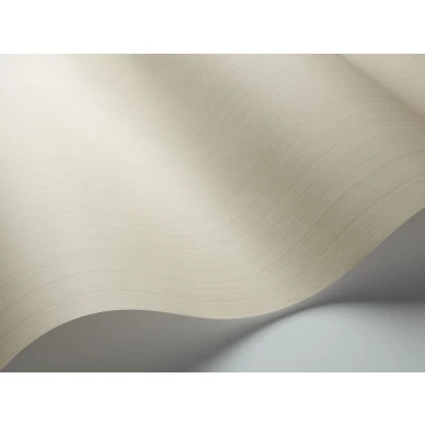 Beige yksivarinen tapetti Cole et Sonilta Jaspe 106 3046 image