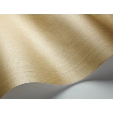 Hiekanruskea yksivarinen tapetti Cole et Sonilta Jaspe 106 3044 image