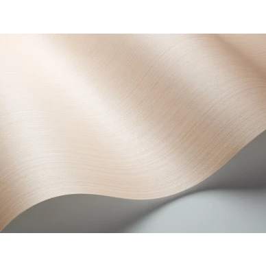 Roosa tapetti Cole et Sonilta Jaspe 106 3049 image