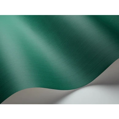 Tummanvihrea yksivarinen tapetti Jaspe Cole et Sonilta 106 3034 image