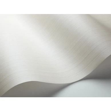 Vaalea yksivarinen tapetti Jaspe Cole et Sonilta 106 3036 image