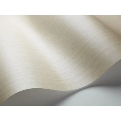 Yksivarinen harmaa tapetti Cole et Sonilta Jaspe 106 3048 image