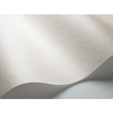 Beige tapetti Cole et Sonilta Cordovan 106 4052 image