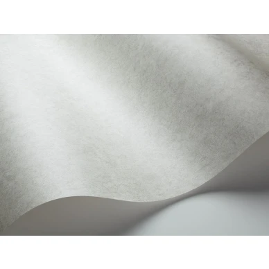 Harmaa tapetti Cole et Sonilta Cordovan 106 4059 image