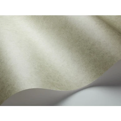 Oliivinvihrea tapetti Cole et Sonilta Cordovan 106 4058 image