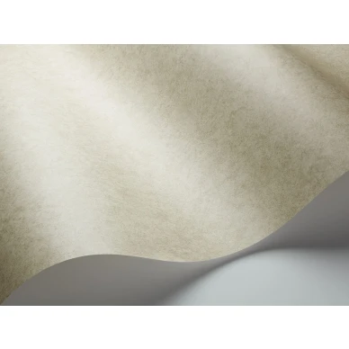 Vihrea tapetti Cole et Sonilta Cordovan 106 4057 image