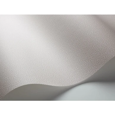 Harmaa tapetti Cole et Sonilta Coral 106 5061 image