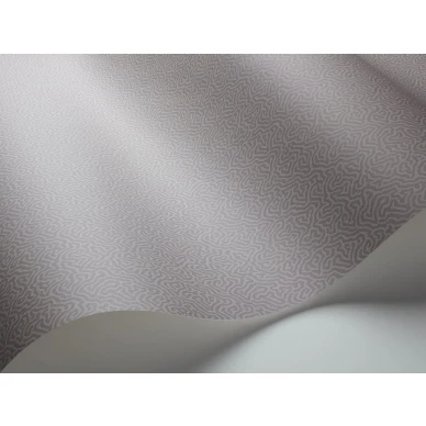 Harmaa tapetti Cole et Sonilta Coral 106 5062 image