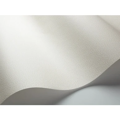 Luonnonvalkoinen tapetti Cole et Sonilta Coral 106 5071 image