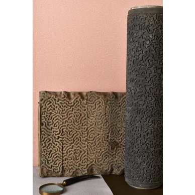 Olohuoneen tapetti Cole et Sonilta korallinvarinen Coral 106 5075 image