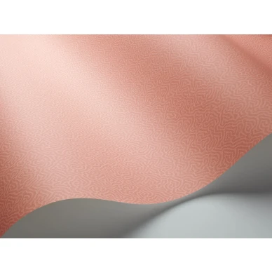Oranssi tapetti Cole et Sonilta yksivarinen Coral 106 5075 image