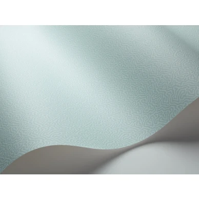 Vaaleanturkoosi tapetti Cole et Sonilta Coral 106 5064 image