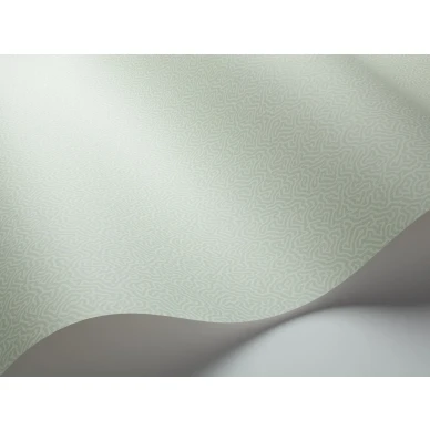 Vaaleanvihrea tapetti Cole et Sonilta Coral 106 5065 image