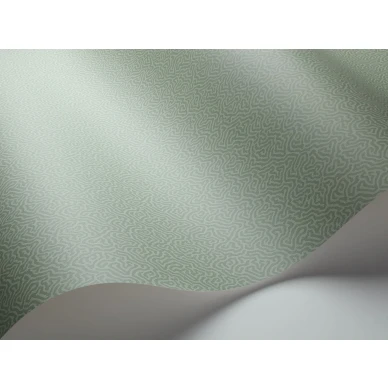 Vihrea tapetti Cole et Sonilta yksivarinen Coral 106 5066 image