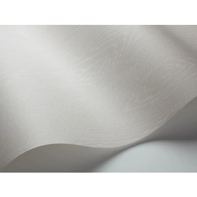 Vaalea puupaneeli tapetti Wood Grain Cole et Sonilta 107 10048 image