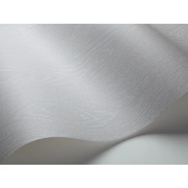 Vaaleanharmaa puupaneeli tapetti Cole et Sonilta Wood Grain 107 10049 image