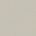 Vermicelli metallinvarinen graafinen tapetti Cole et Sonilta 107 4019
