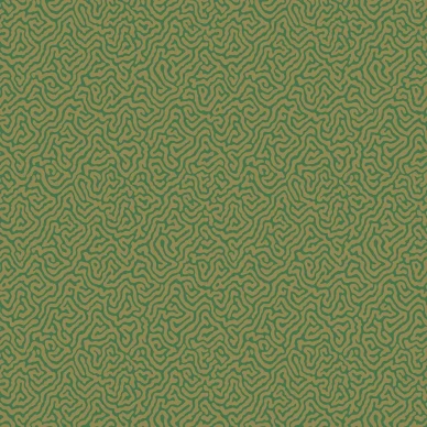 Vermicelli vihrea kultainen graafinen tapetti Cole et Sonilta 107 4022 image