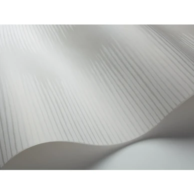 Vaaleanharmaa graafinen tapetti Cole et Sonilta Plume 107 3013 image