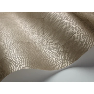 Gilvervarinen geometrinen tapetti Cole et Sonilta Mineral 107 6029 image