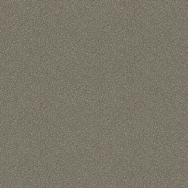 Goldstone tumma hopeatapetti Cole et Sonilta 107 9043 image