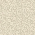 Savanna Shell beige kilpikonnatapetti Cole et Sonilta 119 4021
