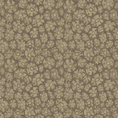 Savanna Shell ruskea kilpikonnatapetti Cole et Sonilta 119 4020 image